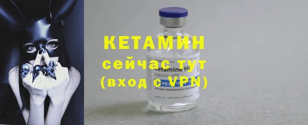 индика Осинники