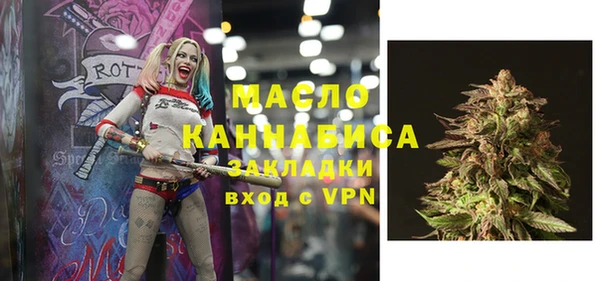 индика Осинники