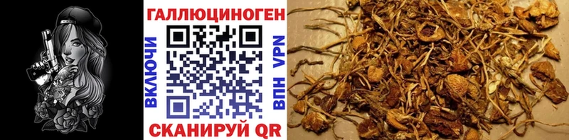 Псилоцибиновые грибы MAGIC MUSHROOMS  MEGA как зайти  Полярные Зори  магазин продажи наркотиков 